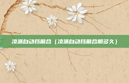 凌派自动挡磨合(凌派自动挡磨合期多久)