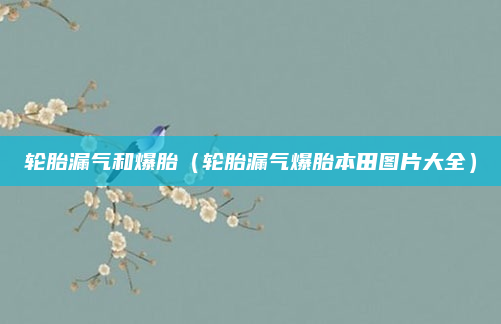 轮胎漏气和爆胎（轮胎漏气爆胎本田图片大全）