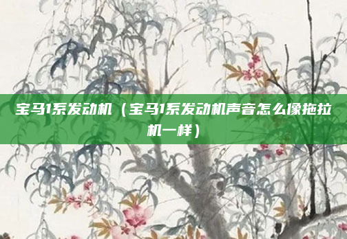 宝马1系发动机（宝马1系发动机声音怎么像拖拉机一样）