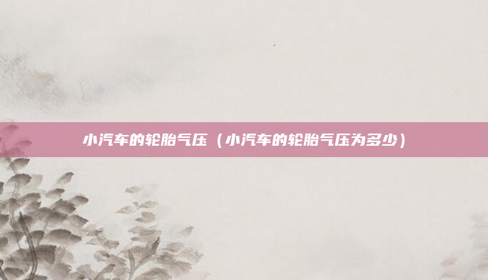 小汽车的轮胎气压（小汽车的轮胎气压为多少）