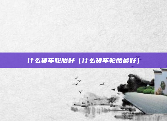 什么货车轮胎好(什么货车轮胎最好)