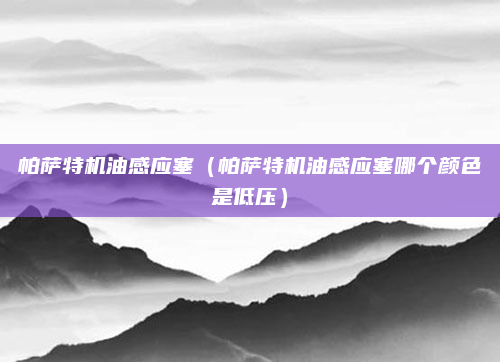 帕萨特机油感应塞(帕萨特机油感应塞哪个颜色是低压)