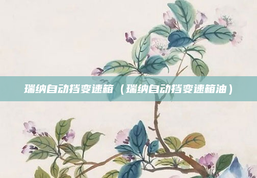瑞纳自动挡变速箱（瑞纳自动挡变速箱油）