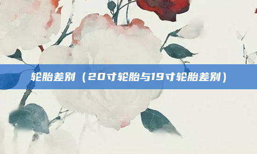 轮胎差别(20寸轮胎与19寸轮胎差别)