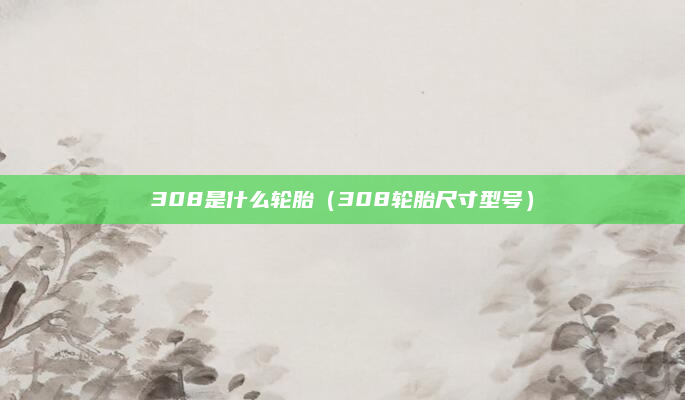 308是什么轮胎（308轮胎尺寸型号）