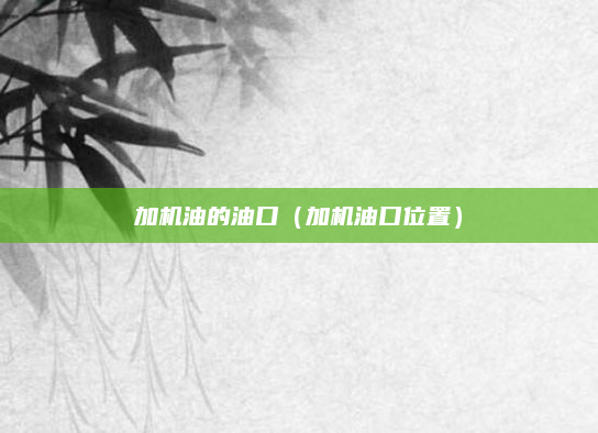 加机油的油口(加机油口位置)