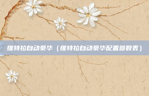 维特拉自动豪华(维特拉自动豪华配置参数表)
