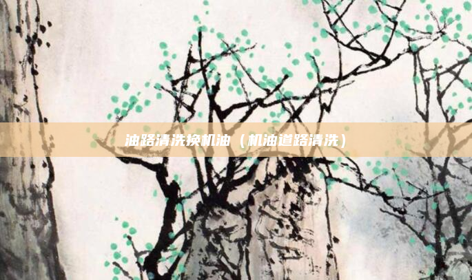 油路清洗换机油（机油道路清洗）