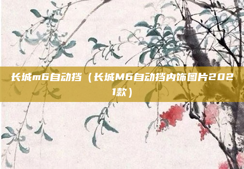 长城m6自动挡(长城M6自动挡内饰图片2021款)