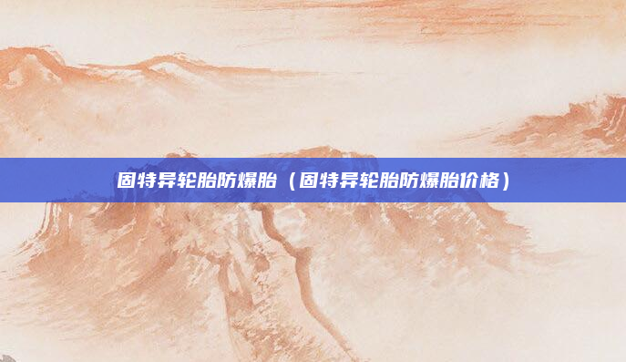 固特异轮胎防爆胎(固特异轮胎防爆胎价格)