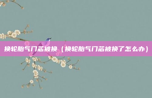 换轮胎气门芯被换(换轮胎气门芯被换了怎么办)