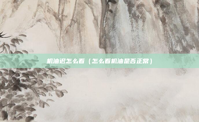 机油迟怎么看(怎么看机油是否正常)