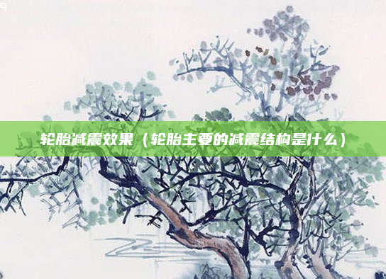 轮胎减震效果(轮胎主要的减震结构是什么)