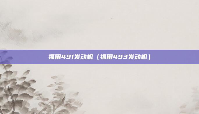 福田491发动机（福田493发动机）