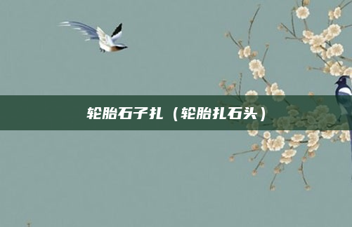轮胎石子扎(轮胎扎石头)