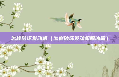 怎样破坏发动机(怎样破坏发动机喷油嘴)