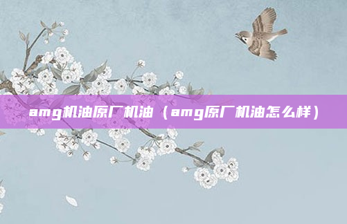 amg机油原厂机油(amg原厂机油怎么样)