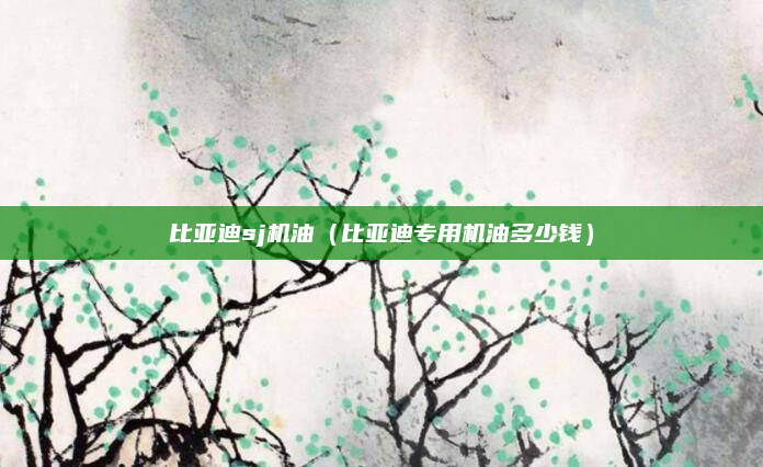 比亚迪sj机油(比亚迪专用机油多少钱)