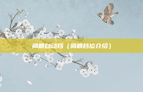 阅朗自动挡(阅朗档位介绍)
