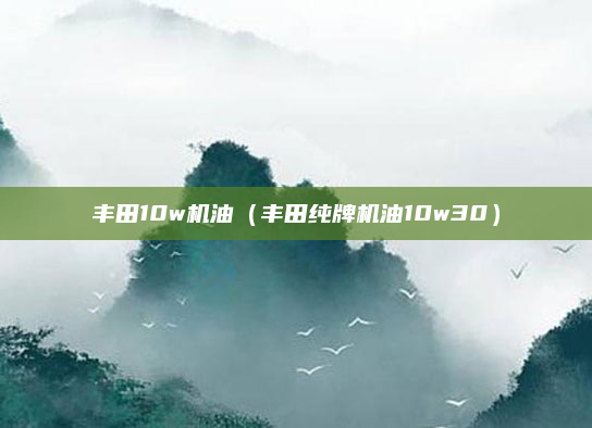 丰田10w机油(丰田纯牌机油10w30)