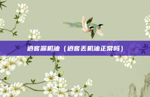 逍客漏机油(逍客丢机油正常吗)