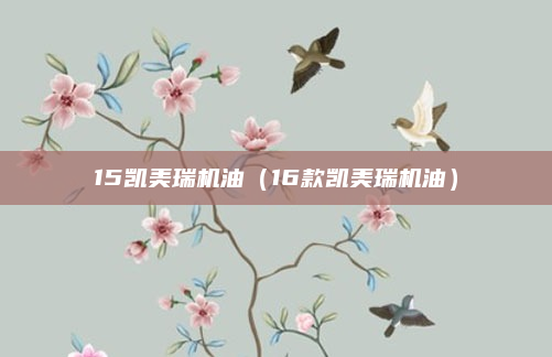 15凯美瑞机油（16款凯美瑞机油）