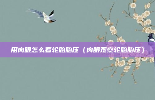 用肉眼怎么看轮胎胎压（肉眼观察轮胎胎压）
