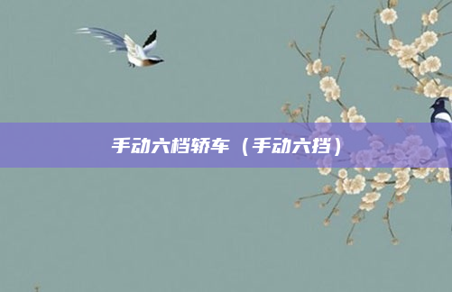 手动六档轿车（手动六挡）