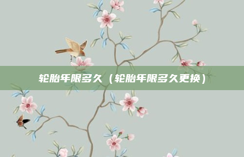 轮胎年限多久(轮胎年限多久更换)