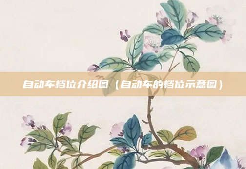自动车档位介绍图(自动车的档位示意图)