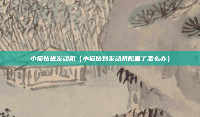 小猫钻进发动机(小猫钻到发动机舱里了怎么办)