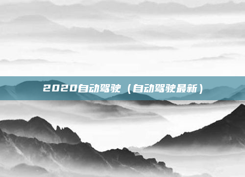 2020自动驾驶(自动驾驶最新)