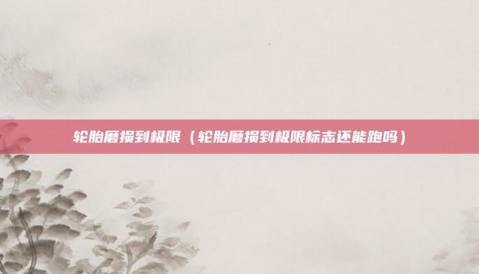 轮胎磨损到极限(轮胎磨损到极限标志还能跑吗)