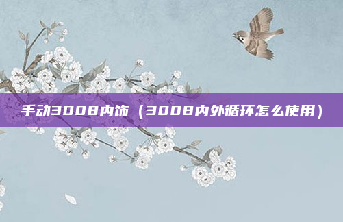 手动3008内饰(3008内外循环怎么使用)