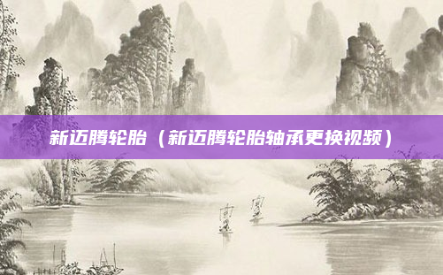 新迈腾轮胎(新迈腾轮胎轴承更换视频)