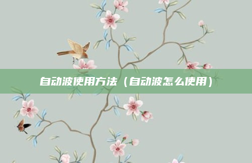 自动波使用方法(自动波怎么使用)