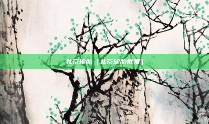 北京轮胎(北京轮胎批发)