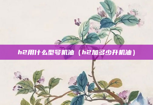 h2用什么型号机油（h2加多少升机油）