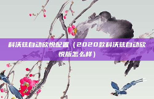 科沃兹自动欣悦配置(2020款科沃兹自动欣悦版怎么样)