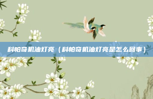 科帕奇机油灯亮(科帕奇机油灯亮是怎么回事)