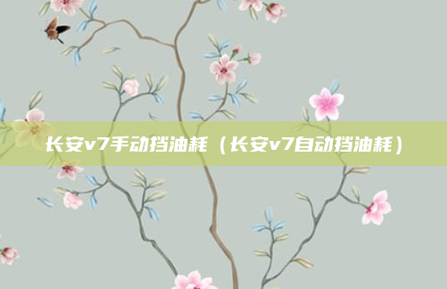 长安v7手动挡油耗(长安v7自动挡油耗)
