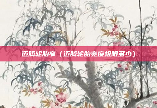 迈腾轮胎窄(迈腾轮胎宽度极限多少)