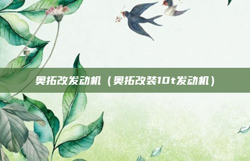 奥拓改发动机（奥拓改装10t发动机）