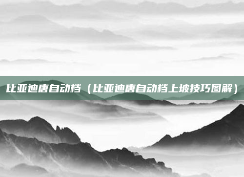 比亚迪唐自动档(比亚迪唐自动档上坡技巧图解)