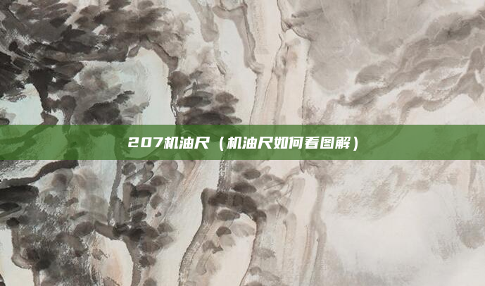 207机油尺(机油尺如何看图解)
