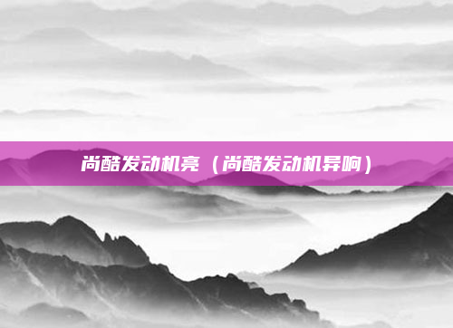 尚酷发动机亮（尚酷发动机异响）