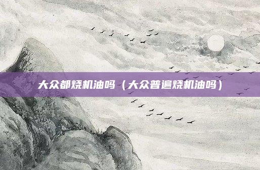 大众都烧机油吗（大众普遍烧机油吗）