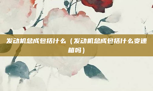 发动机总成包括什么(发动机总成包括什么变速箱吗)