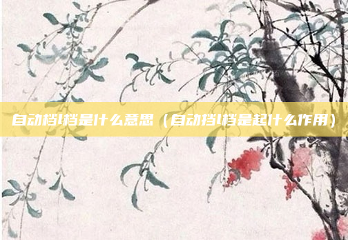 自动档l档是什么意思(自动挡l档是起什么作用)