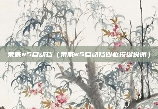荣威w5自动挡（荣威w5自动挡四驱按键说明）